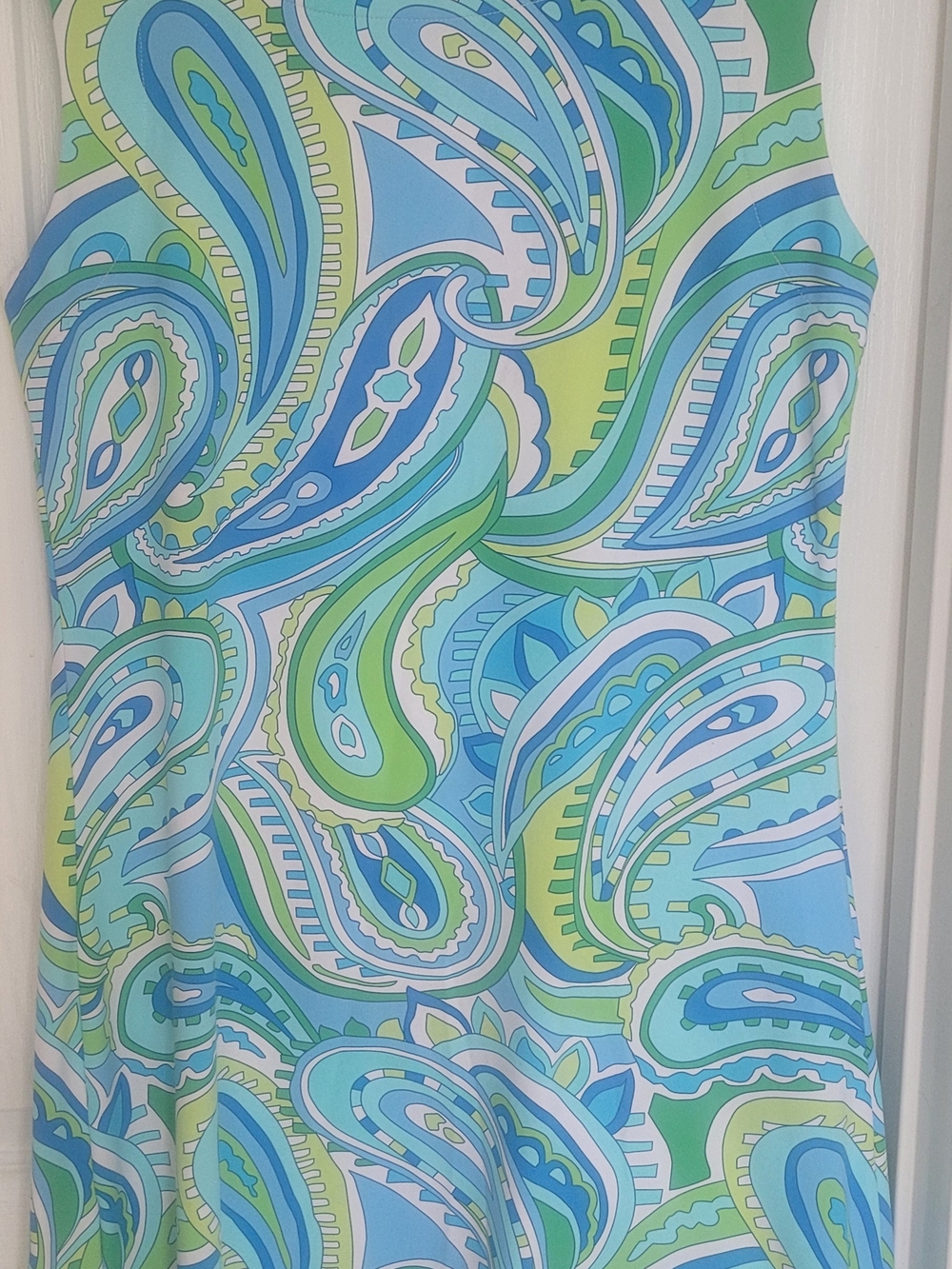 Barbara Gerwit Sleeveless Paisley Shift Dress in Blue & Green - Picture 2 of 5